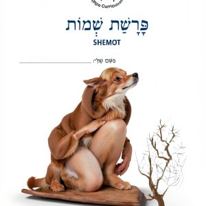 MaTok Conservative Judaism Kindle Book 18.90-0