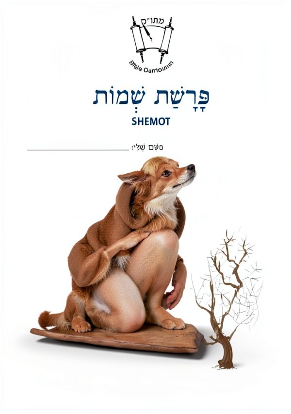 MaTok Conservative Judaism Kindle Book 18.90-0